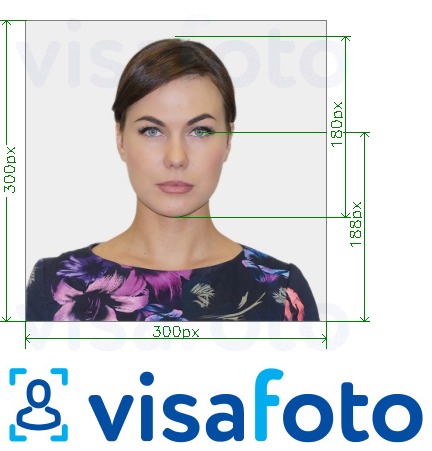 Example of photo for Southeastern's ID Card Online 300x300 px with exact size specification
